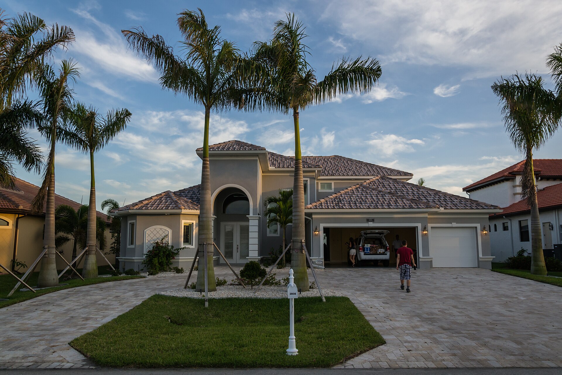 Palm-lined street in Cape Coral, Florida